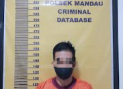 Pelaku Pencabulan Anak Dibawah Umur di Tangkap Polisi