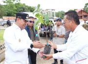 Tanam Pohon dan Saat Warga Tabang Serbu Pohon Gratis dari Pemprov Sulbar