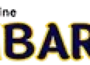 Profil Media ambarnews.com