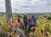 KEKOMPAKAN ITU INDAH: Wartawan dan Warga Bersatu dalam Gotong Royong