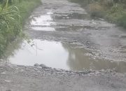 Butuh Perhatian Pemda Lutra Untuk Di Lakukan Pengaspalan ,Akses Jalan Poros Desa Salekoe. Dan Poros Rampoang