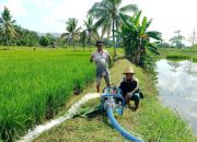 Dorong Swasembada Pangan, Ketua Koptan Tunas Muda Pangalli: Minta Bulog Permudah Pembelian Gabah