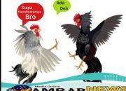 Tersangka Judi Sabung Ayam Dan Koordinator Mengamankan Wartawan/Lembaga