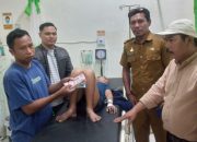 Wagub Respon Cepat Bantu Pasien Gagal Ginjal Asal Majene