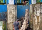Gangguan Irigasi di Bendung Bantalaka Pasangkayu Selesai Ditangani UPTD PSDA