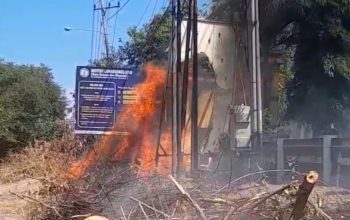 MATA ALAM Minta DLH Wajo Bertanggung Jawab Atas Insiden Kebakaran Di Depan Kampus Lamaddukelleng