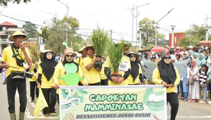 Wujud Syukur Petani Soppeng di Hari Kemerdekaan RI ke-80