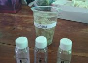 Usai Pengambilan Sampel, Distapang Sulbar: Pangan Segar Di Pasar Tradisional Polman Aman di Konsumsi