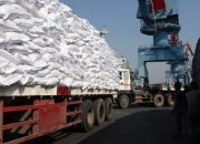 Semester I 2025, PTP Nonpetikemas Catat Kinerja Bertumbuh