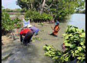 80 Tahun Merdeka, CSR Hijau Jadi Wujud Patriotisme di Era Krisis Iklim