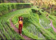 Bali Sun Tours Luncurkan Portofolio Pengalaman 2025 dan Pemesanan Langsung