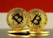 Bagaimana Dampak Aksi Penyampaian Pendapat di Indonesia bagi Industri Kripto?