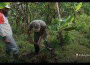 Hari Tani Nasional 2025, LindungiHutan Perkuat Peran Petani dalam Penghijauan dan Ketahanan Iklim