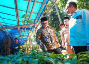 Sangat Bermanfaat Bagi Kami: Tanggapan Petani Polman Atas Bantuan Gubernur Sulbar