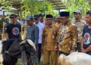 Gubernur Suhardi Duka Tinjau Bantuan Bibit Ternak Kambing di Polewali Mandar