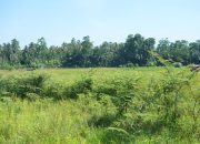 Wujudkan Transmigrasi Berbasis Potensi Lokal, Bapperida Dukung Pembangunan Mess Patriot