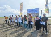 Sinergi Polisi, Pemerintah, dan Masyarakat: Tanam Jagung Demi Sejahtera Bersama