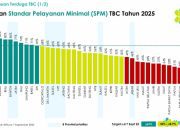 Prestasi Gemilang! Capaian SPM TBC Sulbar 82%, Tertinggi se-Indonesia