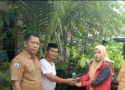 Dinas Perkebunan Sulbar Salurkan Bantuan Rp4,59 Miliar untuk Petani Kakao di Majene