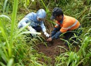 Jaga Kelestarian Alam Indonesia, WSBP Kembali Tanam 536 Pohon Trembesi