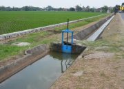 Peringati Hari Pangan Sedunia, Kementerian PU Pertegas Komitmen Dukung Swasembada Pangan Lewat Infrastruktur Irigasi