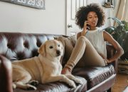 Cara Ampuh Mencegah Bau Pipis Anjing di Rumah