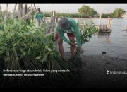 Deforestasi Indonesia Masih Meningkat, Inisiatif Pemulihan Hutan Mendesak Diperkuat