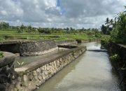 Dukung Pertanian Bali, Kementerian PU Rehabilitasi Jaringan Irigasi DAS Sungi di Tabanan