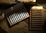 Holding Perkebunan Nusantara PTPN I Regional 1 Siapkan 500 Hektare untuk Kembalikan Kejayaan Tembakau Deli