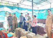 Dinas Ketapang Sulbar Luncurkan Program Pemberian Makanan Bergizi di Ulumanda