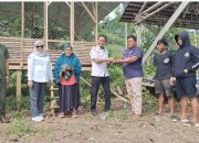 Distapang Sulbar Kembali Menyalurkan Bantuan Ayam KUB dan Sarana Pendukung di Desa Lebani
