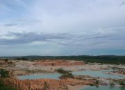 Setahun Menteri Nusron: 96 Persen Penertiban Tanah Telantar Dialokasikan untuk Reforma Agraria