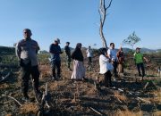 Diduga Terjadi Keputusan Sepihak dalam Pengelolaan Lahan Kehutanan di Desa Bulue