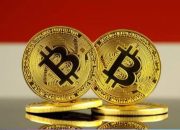 Industri Kripto Jadi Motor Baru Penerimaan Negara, Sumbang Pajak Rp 1,71 Triliun