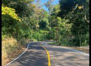 Kementerian PU Serap 43.628 Tenaga Kerja untuk Jalankan Program Padat Karya Jalan dan Jembatan Tahun 2025