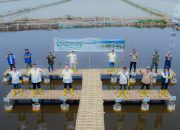 Tanam 16.000 Bibit Mangrove, PT Pelindo Solusi Logistik Perkuat Ekosistem Blue Carbon untuk Mitigasi Perubahan Iklim