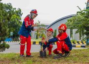 WSBP Tanam 566 Pohon Trembesi melalui Program Piles of Sustainability Oktober