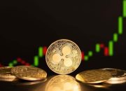 Resmi Hadir! ETF Spot XRP Diluncurkan dengan Volume Transaksi yang Fantastis!