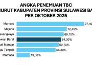 Penemuan Kasus TBC di Sulawesi Barat Capai 64,30 Persen, Dinkes Dorong Akselerasi Eliminasi TBC 2030