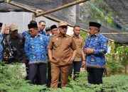 Gubernur Sulbar Tinjau Pembibitan Komoditas Pangan Dinas Ketapang, Siap Dibagikan ke Masyarakat