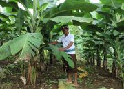 Perjalanan Reforma Agraria di Asahduren, Sertipikat Tanah Ulayat Buka Akses Ekonomi Masyarakat