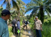 Disbun Sulbar dan Tim Ditjenbun Kementan RI Laksanakan Verifikasi Lapangan Usulan Sarpras Kelompok Tani di Mamuju Tengah