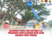 Kolaborasi Polres Luwu dan Dinas PJU, Penebangan Pohon Dilakukan untuk Cegah Ancaman Pohon Tumbang