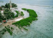 Pulau Pramuka: Lokasi Strategis untuk Penanaman Mangrove & Restorasi Terumbu Karang
