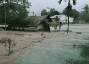 Deforestasi di Sumatra Memicu Kayu Hanyut Saat Banjir, LindungiHutan Serukan Reforestasi Hulu DAS