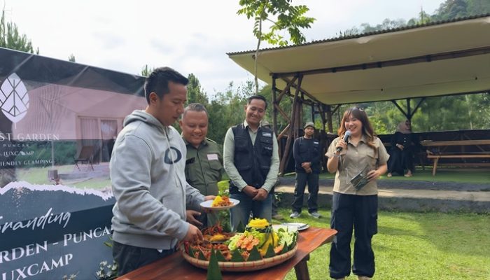 Hidden Gem Nature Escape. Forest Garden Puncak by Luxcamp, Hadir dengan Konsep Lebih Luas, Asri, dan Penuh Aktivitas