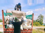 Di Pengujung Tahun, Dinas Pertanian Lutra Kembali Salurkan Bantuan Benih Padi di 58 Poktan