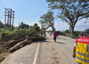 Kementerian PU Pastikan Pemulihan Tujuh Ruas Jalan Utama di Lintas Timur, Barat, dan Tengah Aceh