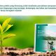 LindungiHutan Rilis E-book “Do’s and Don’ts Implementasi CSR Lingkungan” untuk Perusahaan yang Ingin Membangun Strategi Keberlanjutan yang Kredibel
