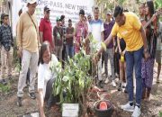 Peringati Hari Menanam Pohon, Linknet (LINK) Tutup Program “New Homepass, New Tree”